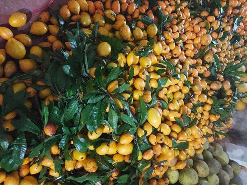 Siêu thực phẩm Amazon bán 1,5 triệu/kg, chợ Việt chỉ 15.000 đồng-3