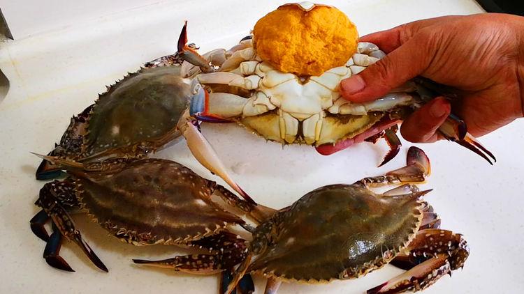 Hấp cua ghẹ dùng nước nào thì ngon, 10 người làm 9 người không biết nên hay bị tanh-1