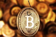 Sàn giao dịch Bitcoin giả mạo lừa đảo 46,3 triệu USD