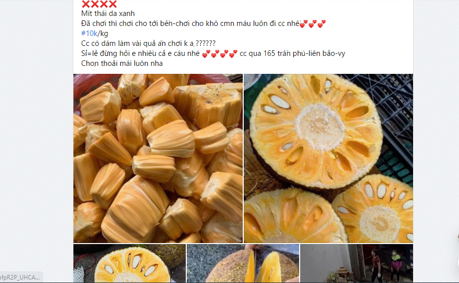 Mùa mít Thái chín rộ, giá 1 kg chỉ bằng một ổ bánh mì-2