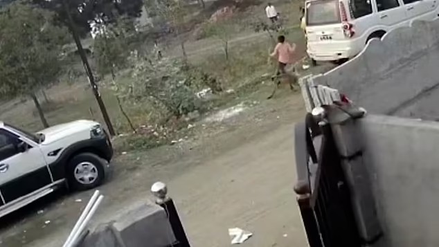 250 con chó bị bầy khỉ bắt cóc và giết chết dã man chỉ trong 1 tháng, nguồn cơn bắt đầu từ ân oán giữa 2 giống loài-3