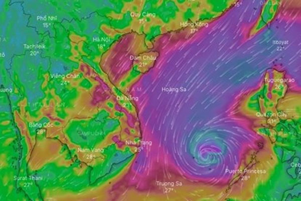 Bão số 9 giật cấp 17, áp sát các tỉnh Bình Định - Phú Yên-3
