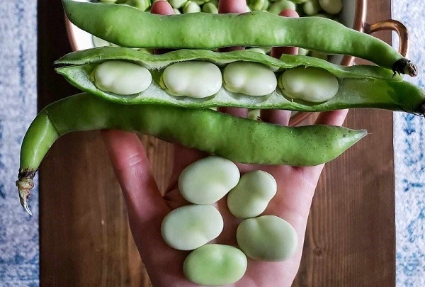 Những người có đường ruột khỏe mạnh thường có 4 thói quen ăn uống, nam hay nữ muốn trường thọ đều nên học hỏi ngay-1