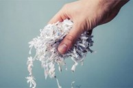 Bất ngờ chưa khi giấy vụn cũng có thể giúp vườn cây của bạn xanh mướt
