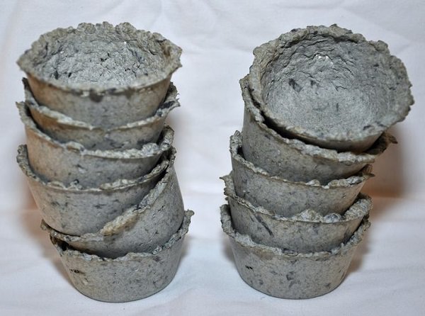 Bất ngờ chưa khi giấy vụn cũng có thể giúp vườn cây của bạn xanh mướt-1