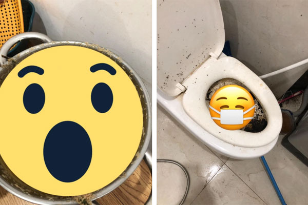 Xôn xao hot girl bị tố ở bẩn kinh hoàng: Phòng ngập trong rác, bồn cầu không dội nước, tiền nhà thì quỵt-4