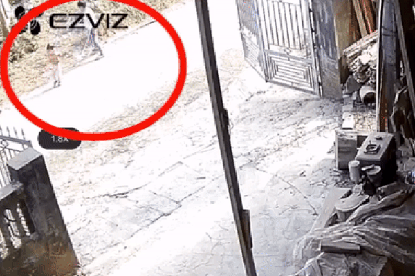 Vụ bé trai bị chó thả rông cắn dã man giữa đường ở Tuyên Giang: Chủ chó có bị xử lý hình sự?-3