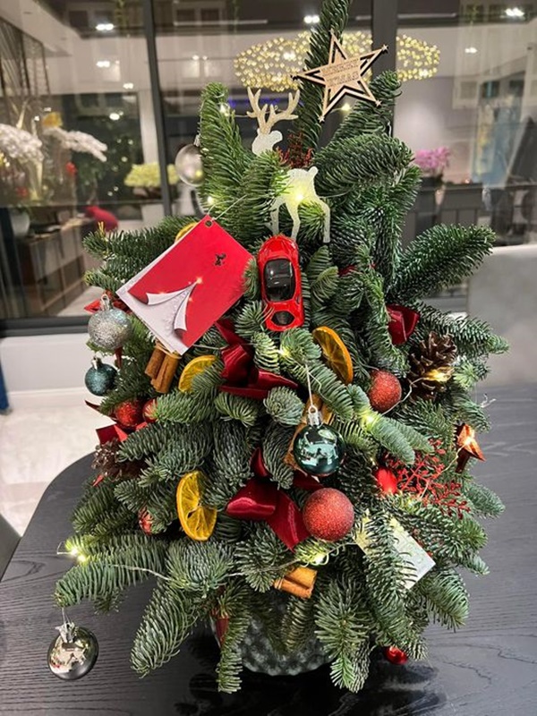 Sao Việt trang hoàng nhà cửa lộng lẫy đón Giáng sinh: Lã Thanh Huyền kết gu sang chảnh, Cường Đô La chịu chơi sắm cây thông khủng-17
