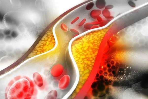 Những người sống thọ trăm tuổi thường có 5 đặc điểm cực kỳ dễ nhận biết trên cơ thể, nếu có đủ tất cả thì bạn rất nên ăn mừng-4