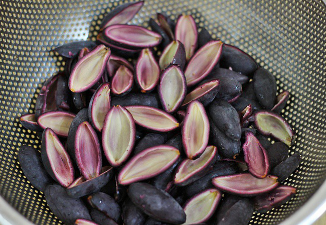 Loại quả này vừa thơm vừa bùi, kho với thịt thì ngon hết nước chấm-2