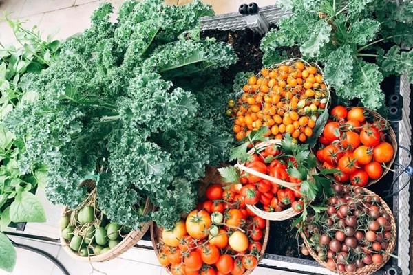 Rèm cửa nhiều người chọn sai do không biết 8 mẹo này, bảo sao lại nhìn xấu và quê-9