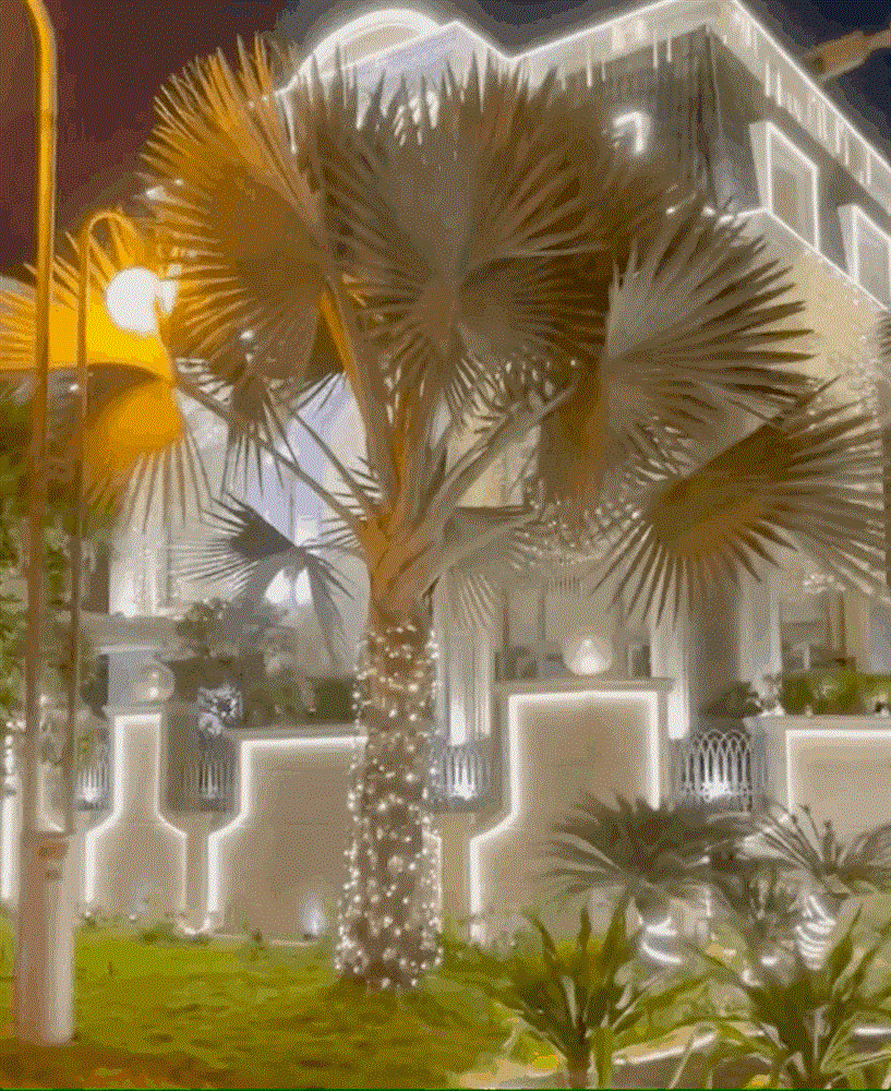 Hồ bơi sang chảnh trong biệt thự triệu đô của phu nhân đại gia Phan Lĩnh khủng cỡ nào?-2