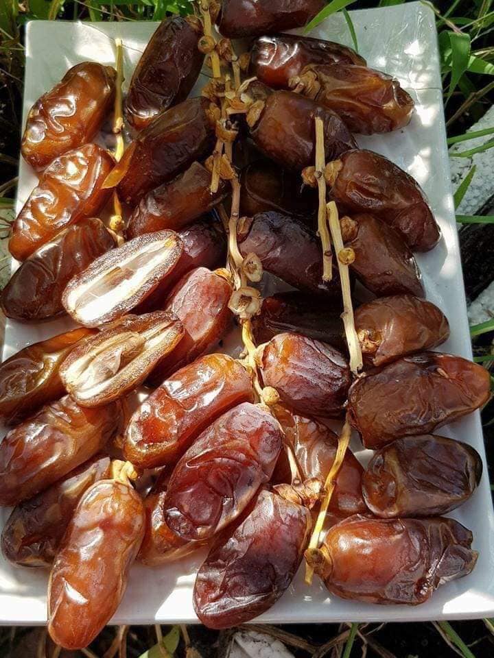 Chà là khô nguyên cành nhập khẩu được chị em săn mua làm quà biếu Tết-1