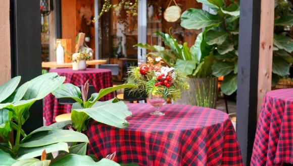 Phan Như Thảo và chồng đại gia Đức An trang hoàng biệt thự đón Giáng sinh-7