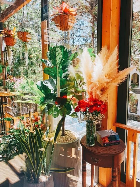 Phan Như Thảo và chồng đại gia Đức An trang hoàng biệt thự đón Giáng sinh-8