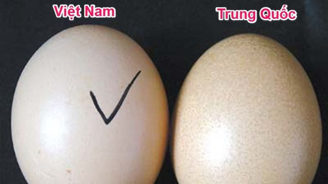 Cách phân biệt trứng gà ta, trứng gà Trung Quốc đơn giản nhưng không phải bà nội trợ nào cũng biết-1