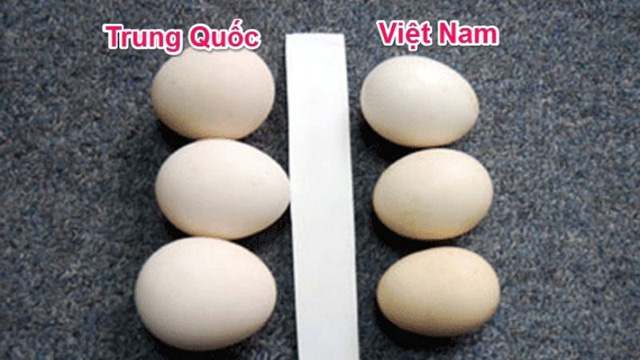 Cách phân biệt trứng gà ta, trứng gà Trung Quốc đơn giản nhưng không phải bà nội trợ nào cũng biết-2