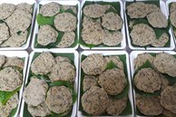 Khởi nghiệp với 2 bàn tay trắng, 9x nay thu về cả tỷ đồng/năm