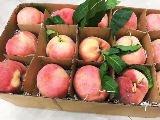 Bảy loại trái cây quen thuộc hay bị phun, tiêm, bơm thuốc để cho đẹp mã, nhanh chín-4