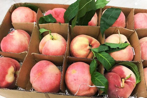 Bún ngũ sắc lạ miệng, bắt mắt khiến bà nội trợ xiêu lòng đặt mua về vừa thưởng thức vừa ngắm-5