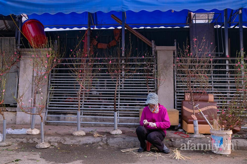 Hơn tháng nữa là Tết: Đào Nhật Tân vừa xuống phố đã bị khách mở hàng ép giá, tiểu thương thà ế chứ nhất quyết không bán rẻ-1
