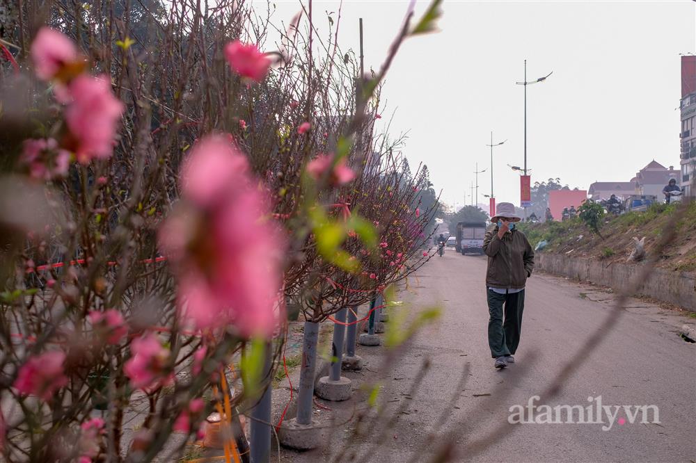 Hơn tháng nữa là Tết: Đào Nhật Tân vừa xuống phố đã bị khách mở hàng ép giá, tiểu thương thà ế chứ nhất quyết không bán rẻ-4