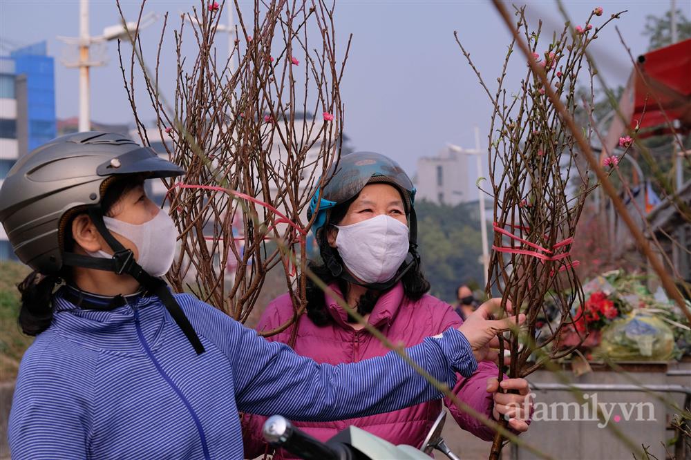 Hơn tháng nữa là Tết: Đào Nhật Tân vừa xuống phố đã bị khách mở hàng ép giá, tiểu thương thà ế chứ nhất quyết không bán rẻ-12