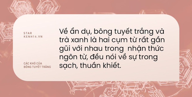 Cái khó của bông tuyết trắng Hải Tú-3