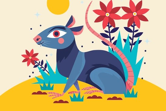 Vận may 12 con giáp trong tháng Chạp 2021: Một vài con giáp nếu như dấn thân vào con đường đầu tư thì xác định giàu có vượt trội