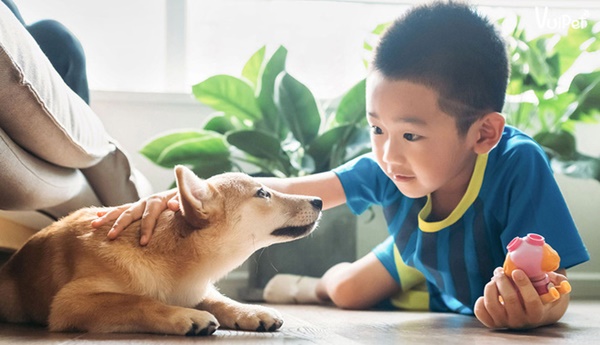 Nửa đêm bố giấu con trai đem vứt chó cưng, cảnh tượng hôm sau khiến ông bố ân hận bật khóc-2