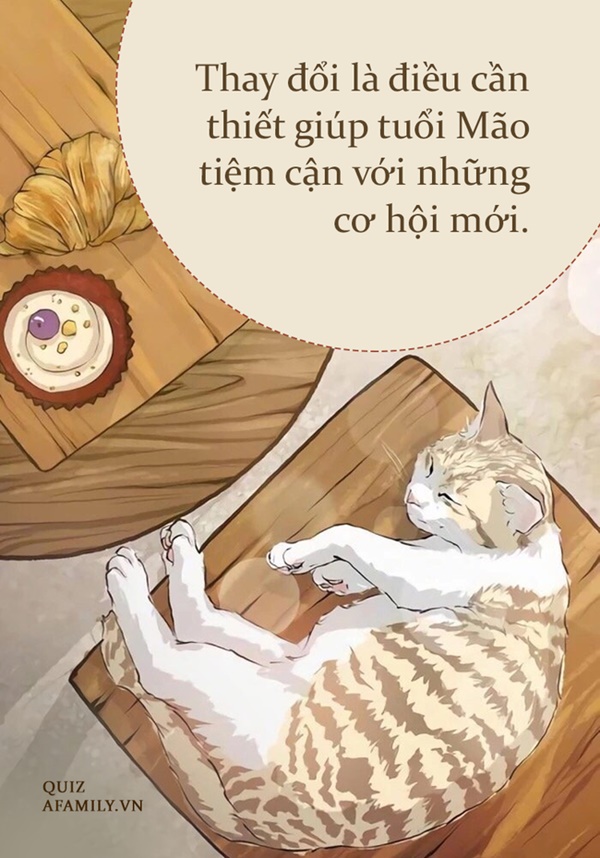 Năm Nhâm Dần 2022 của tuổi Mão: Sửa chữa những sai lầm, tiền về như vũ bão-2
