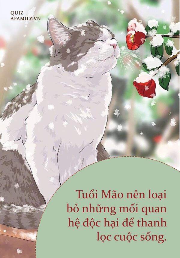 Năm Nhâm Dần 2022 của tuổi Mão: Sửa chữa những sai lầm, tiền về như vũ bão-3