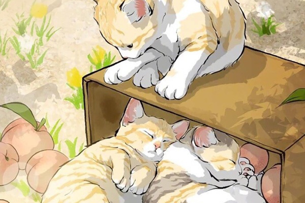 Dành cho 3 con giáp chịu mở lòng là có quý nhân: Bước qua năm 2022, đời sống tình cảm thăng hoa, đường tài lộc hanh thông-4