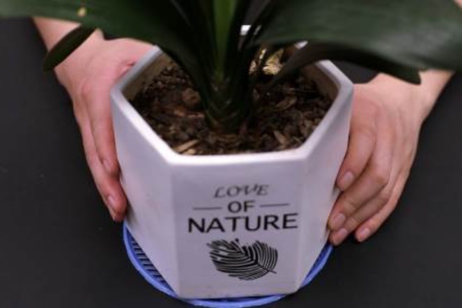 Khi bán phế liệu, đừng vứt bỏ những rổ rau cũ, chỉ cần sửa sang lại và đặt chúng trên ban công, bạn sẽ giật mình vì điều này-9