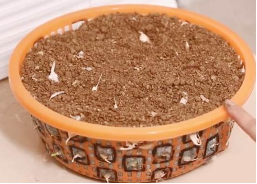 Khi bán phế liệu, đừng vứt bỏ những rổ rau cũ, chỉ cần sửa sang lại và đặt chúng trên ban công, bạn sẽ giật mình vì điều này-14