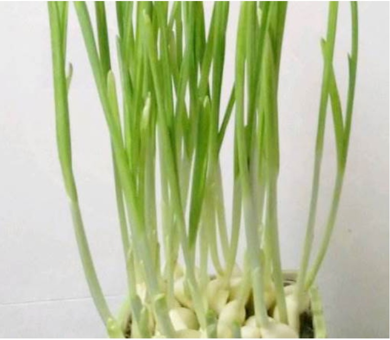 Khi bán phế liệu, đừng vứt bỏ những rổ rau cũ, chỉ cần sửa sang lại và đặt chúng trên ban công, bạn sẽ giật mình vì điều này-15