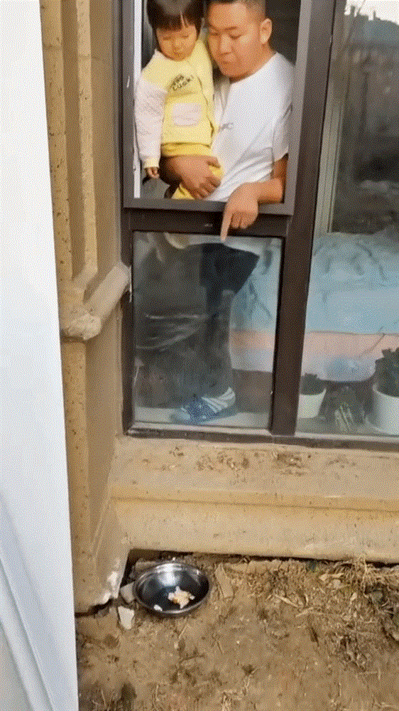 Ông bố xuất chiêu nhỏ mà có võ, chỉ vỡ 1 quả trứng trị dứt thói quen xấu ngồi chơi trên cửa sổ của con gái-1