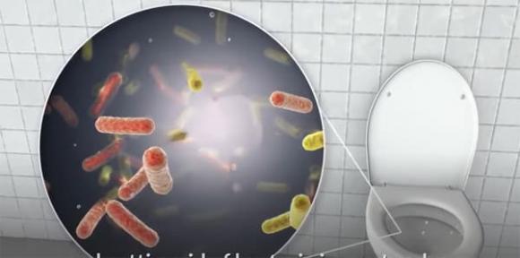 Tốt nhất là bạn nên cho tỏi vào nhà vệ sinh vào ban đêm, việc dọn dẹp trở nên dễ dàng hơn rất nhiều-2