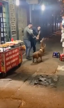 Kinh hoàng clip chó Pitbull điên cuồng cắn xé con mồi giữa phố, 3 người lớn vật lộn căng thẳng mới lôi ra được-1