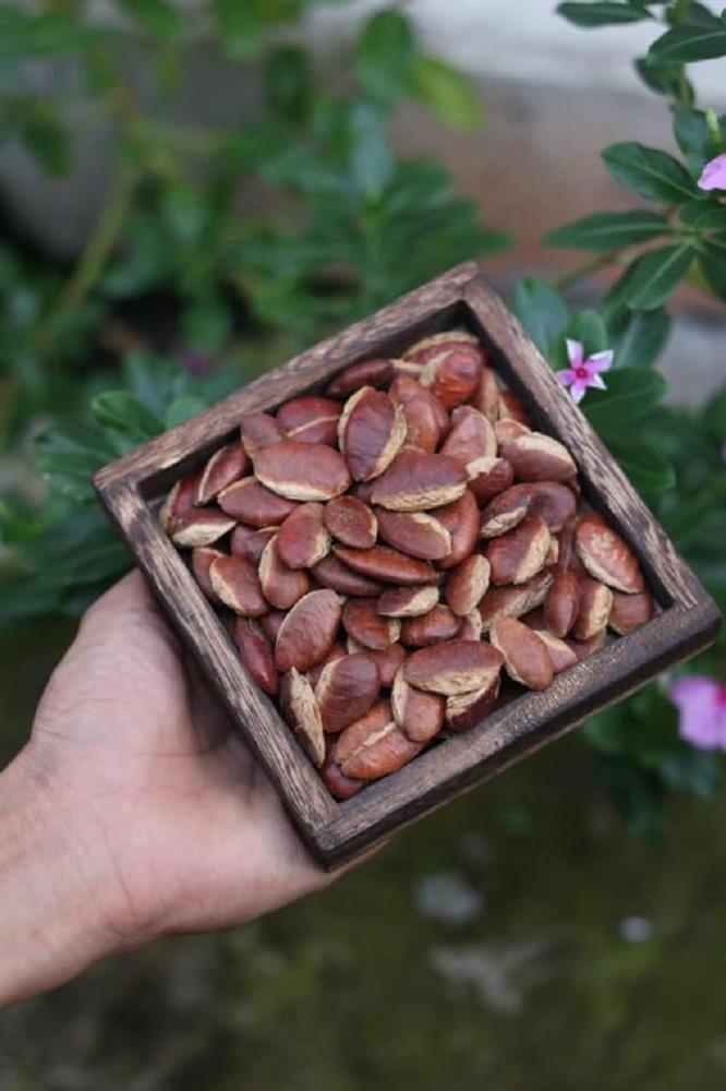 Hạt kơ nia rang béo bùi được chị em chốt đơn ầm ầm, hứa hẹn trở thành món độc đãi khách dịp Tết 2022-2