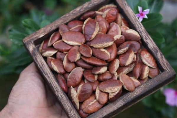 Gân bò muối rau tiến vua chua cay, giòn sần sật khiến chị em mê mẩn đặt mua ăn Tết vừa lạ miệng lại đỡ ngấy-9