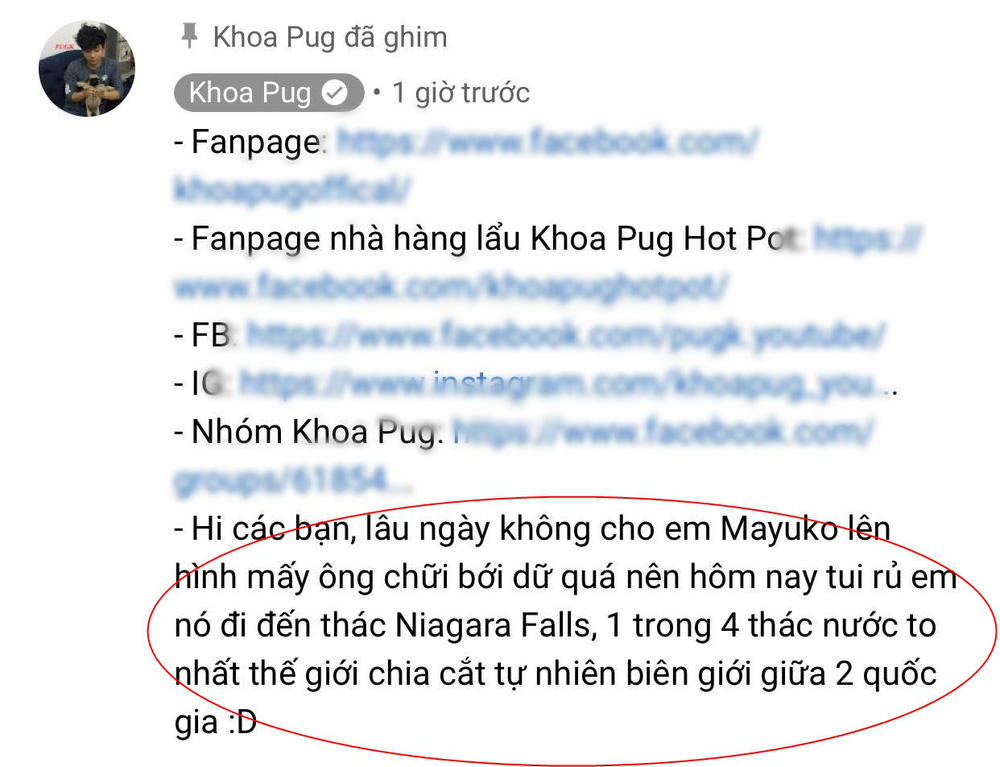Khoa Pug bỗng dưng bị người hâm mộ chửi bới, vội cho nhân vật này lên sóng-1