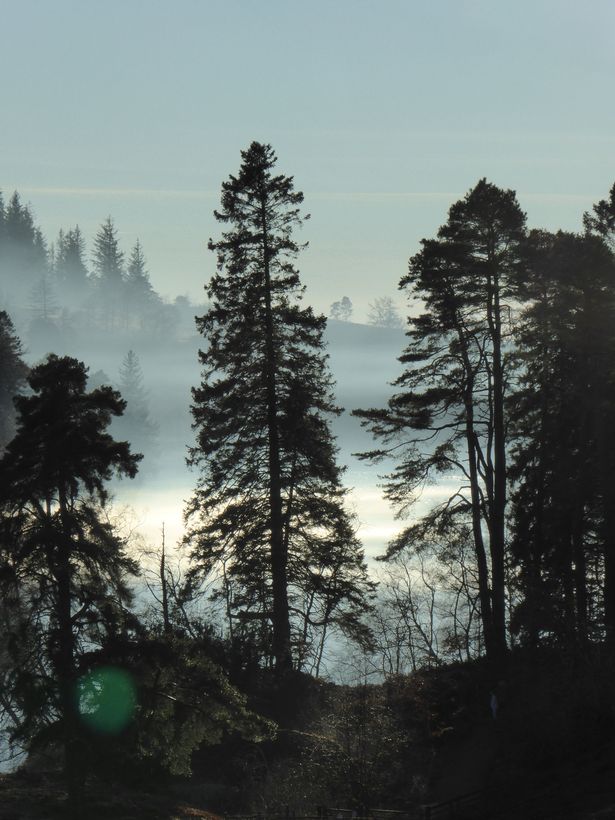 Đi vào rừng chụp ảnh cực nghệ, du khách về xem lại hình rồi phóng to mới thấy điều rùng mình khiến dân mạng run theo-1