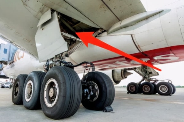 Người đàn ông bám càng máy bay từ Nam Phi tới Hà Lan-2