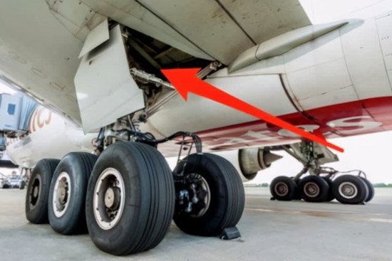 Câu chuyện không thể tin nổi về cậu bé 