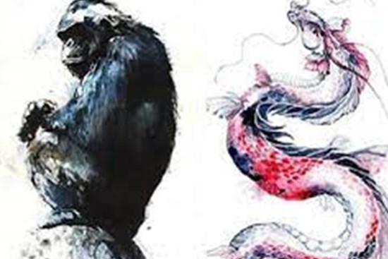 Tử vi tuần mới từ ngày 27/12/2021-2/1/2022 của 12 con giáp: Tý gặp khó khăn, Thìn may mắn