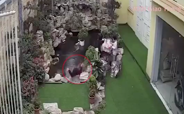 Bé 2 tuổi tử vong thương tâm khi rơi xuống bể cá ở hòn non bộ trong nhà-1