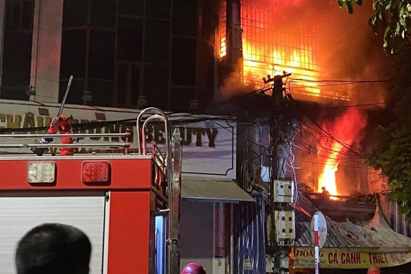 4 loài cá cảnh độc, lạ, đẹp mắt nhưng quý hiếm, nói giá khiến nhiều người giật mình thon thót-7