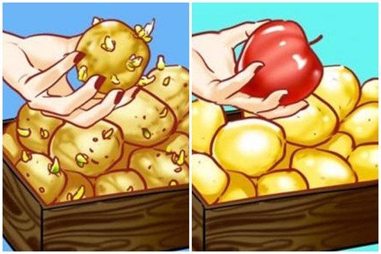 Bỏ một quả táo vào rổ sẽ giúp khoai tây không mọc mầm và loạt mẹo nhỏ hữu ích trong nhà bếp