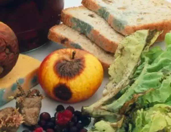 Loại rau nằm trong danh sách gây ung thư mà WHO cảnh báo, chuyên gia khuyên nên thận trọng kẻo ăn nhầm-4